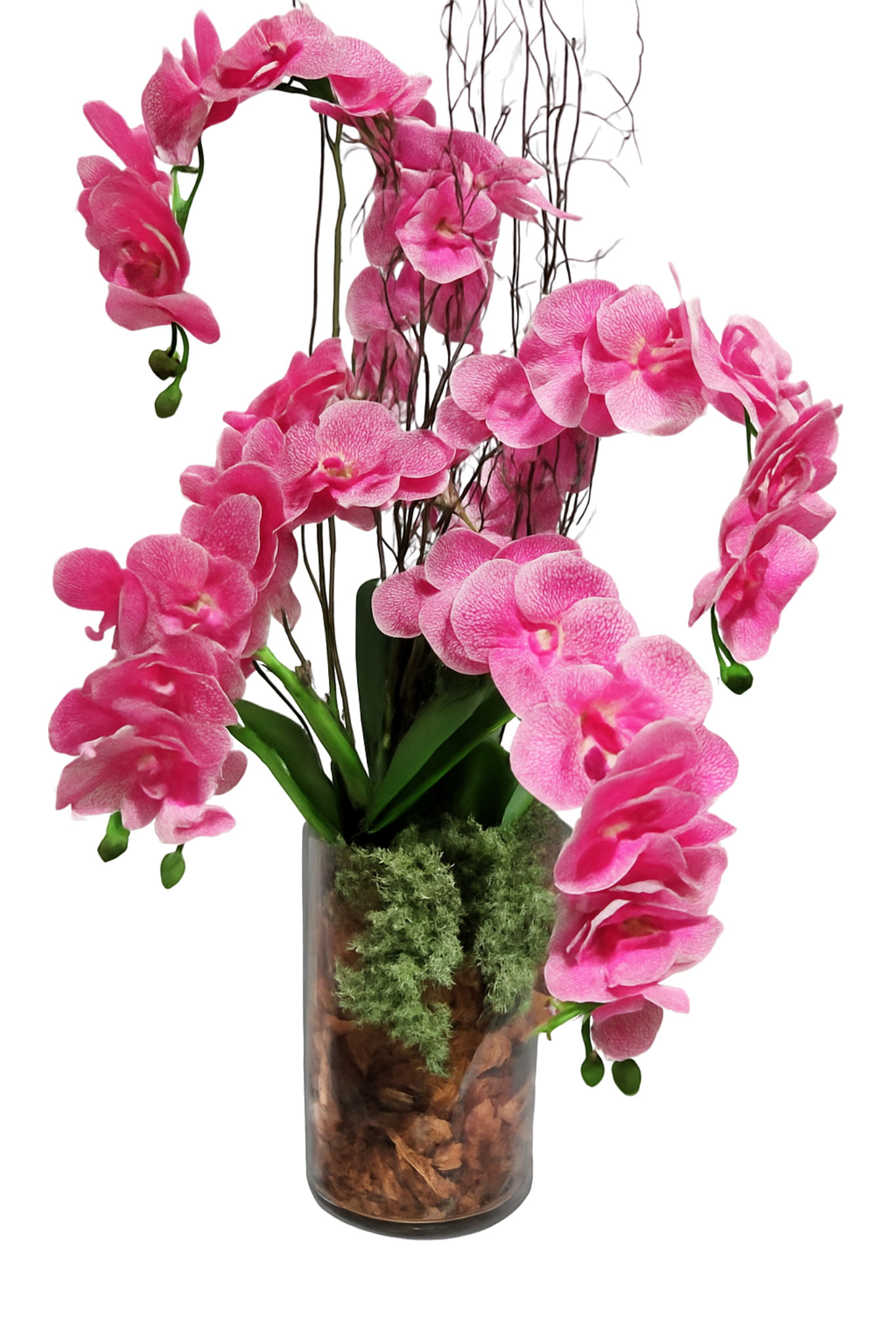 Orquídeas Nobres