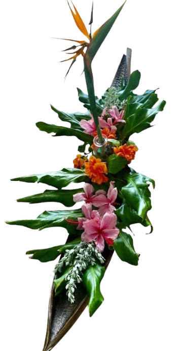 Mix Tropical