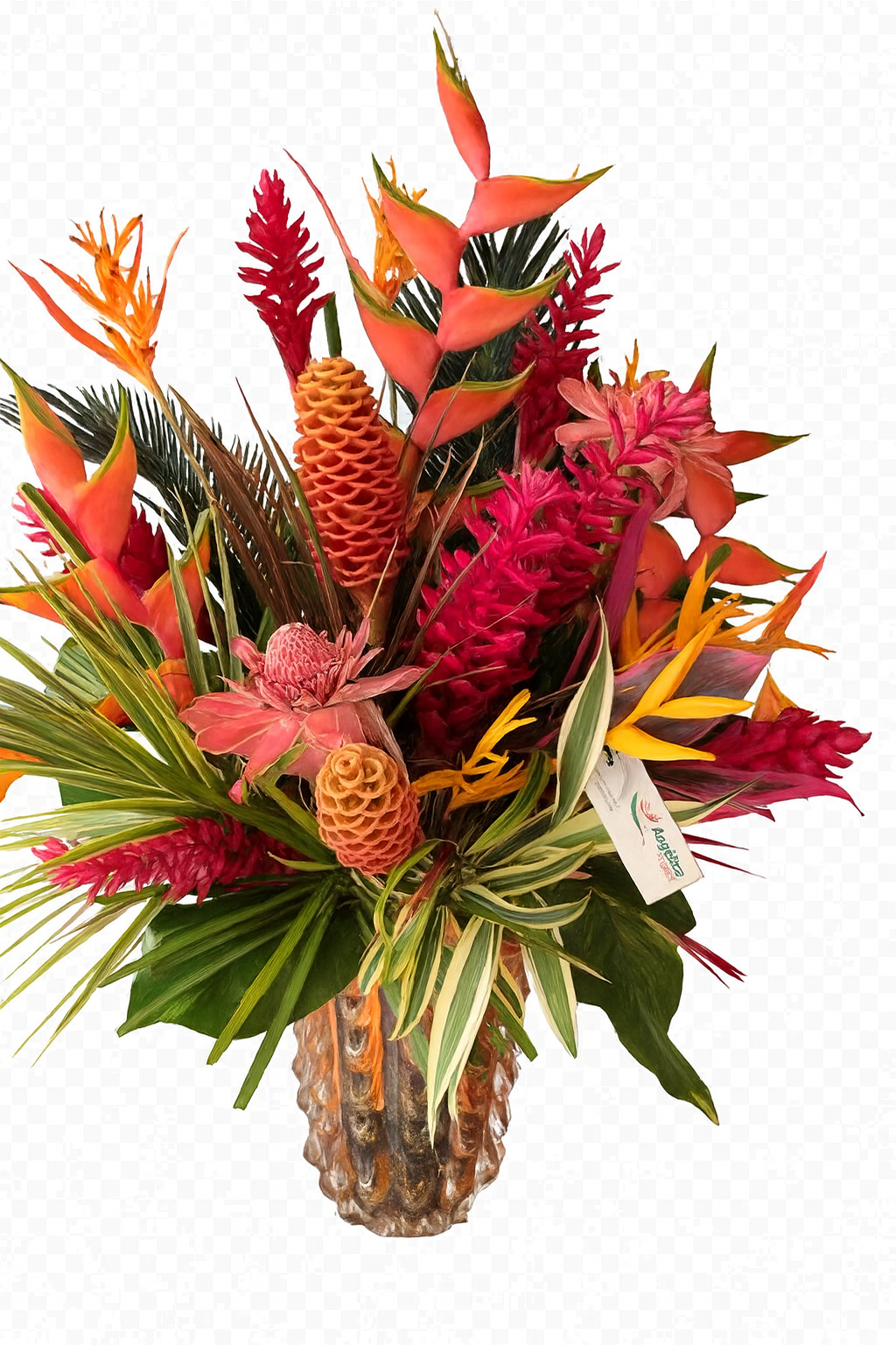 Tropical Luxo